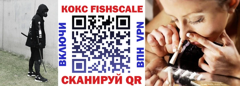 мега tor  купить  цена  сайты даркнета как зайти  COCAIN Эквадор  Чита 
