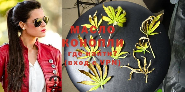 ГАЛЛЮЦИНОГЕННЫЕ ГРИБЫ Михайлов