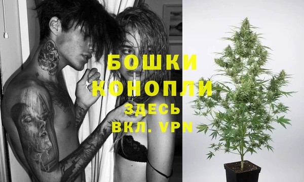 ГАЛЛЮЦИНОГЕННЫЕ ГРИБЫ Михайлов