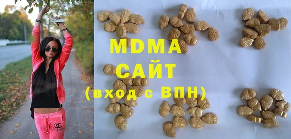 ГАЛЛЮЦИНОГЕННЫЕ ГРИБЫ Михайлов