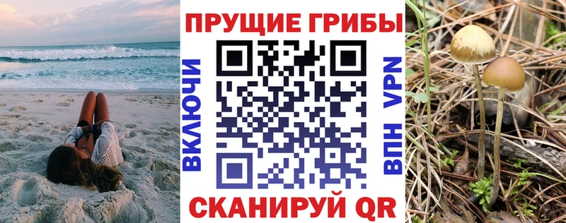 Галлюциногенные грибы Magic Shrooms  Чита 